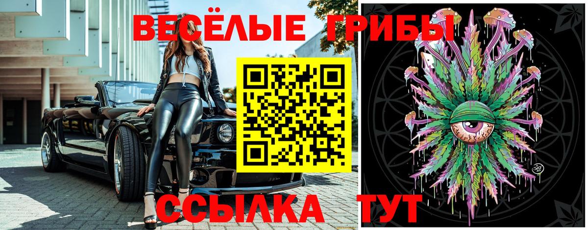 Владикавказ  Галлюциногенные грибы мухоморы  Вход с VPN 