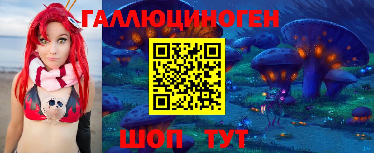 Псилоцибиновые грибы GOLDEN TEACHER Владикавказ